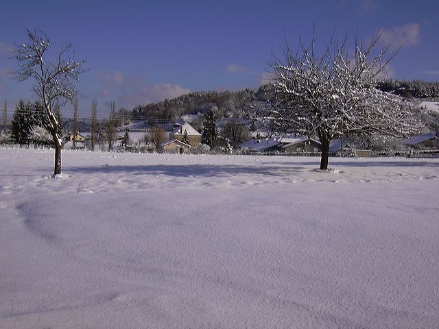 0502-neige002.jpg