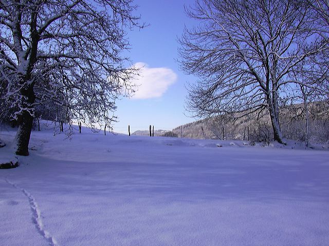0502-neige014.jpg