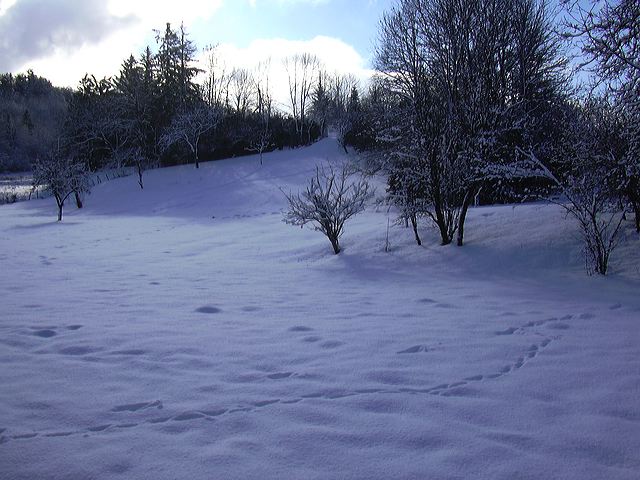 0502-neige015.jpg